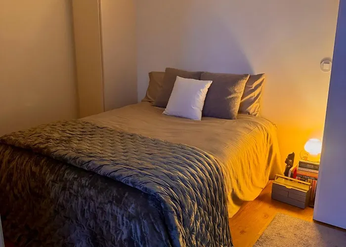 Bonfim Cozy Apartment Porto